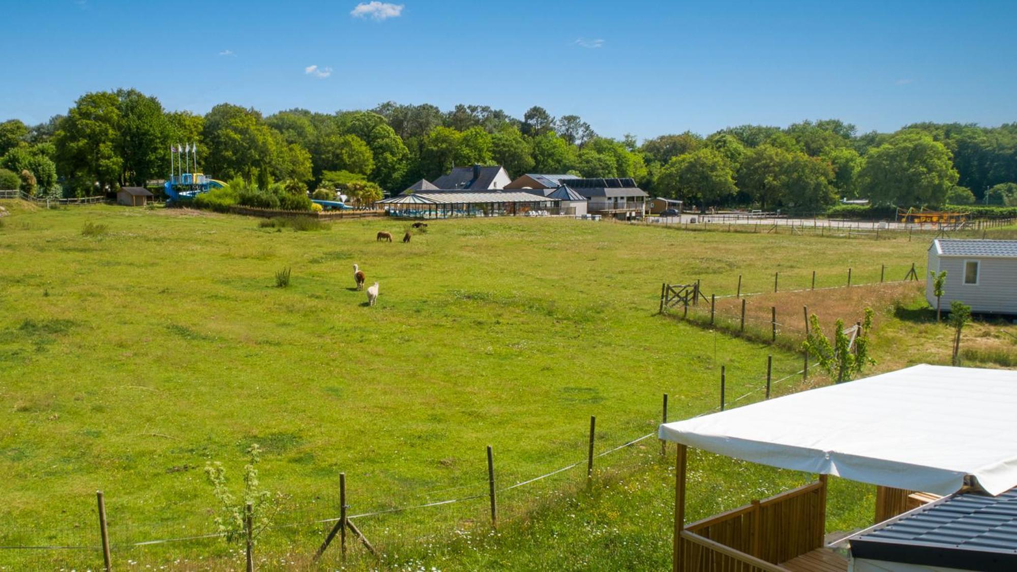 Camping Monterblanc Exteriör bild
